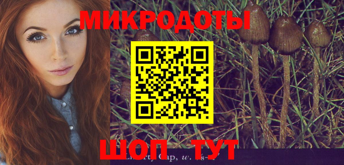 Энгельс  Псилоцибиновые грибы мухоморы  Вход с VPN 
